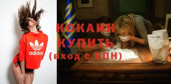 apvp Краснослободск