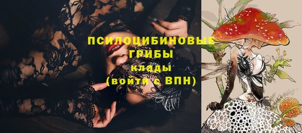 гидра Костерёво